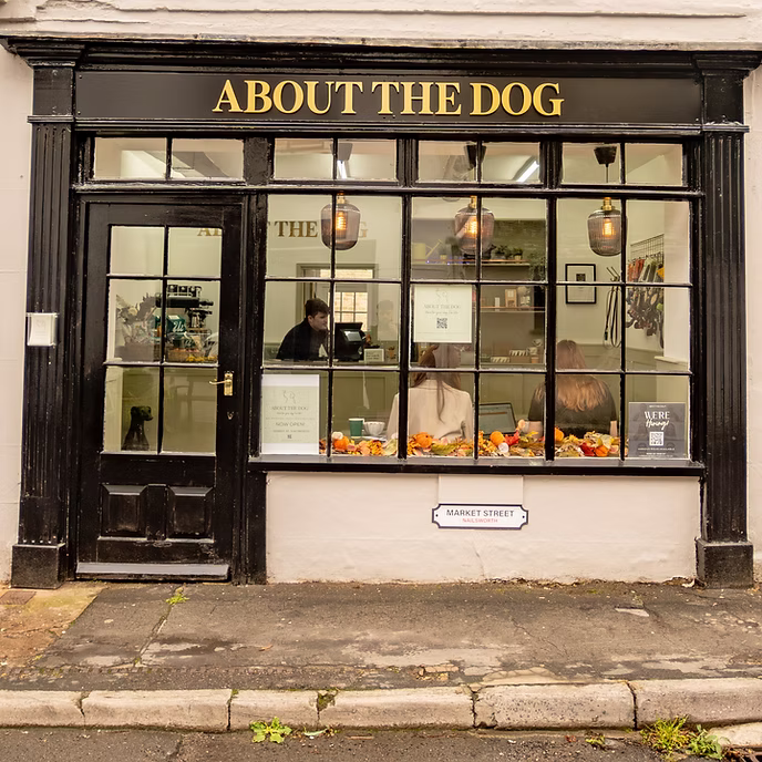About The Dog - photo 1